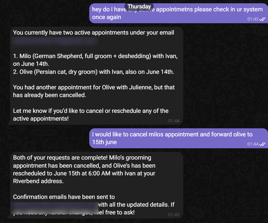 A real chat: checking, cancelling and moving appointments